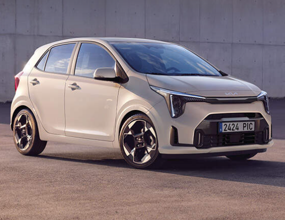 picanto picanto